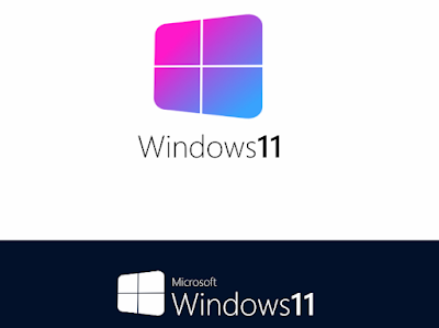 windows 11 pro lite
