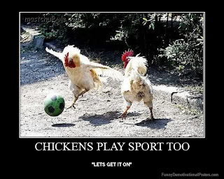 Funny Sports Picture