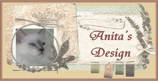 Anita's Design