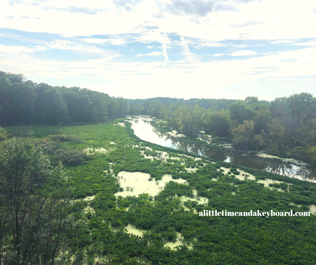 View of the Galien River and surrounding wetlands from the overlook at Galien River County Park in New Buffalo, Michigan.