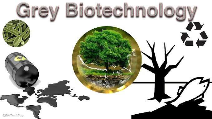 Overview of Grey Biotechnology