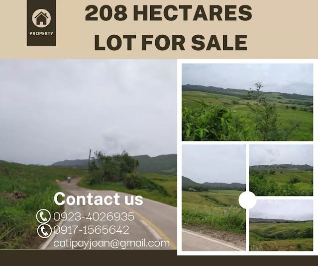 Affordable 208 Hectares Lot in Tabogon Cebu North