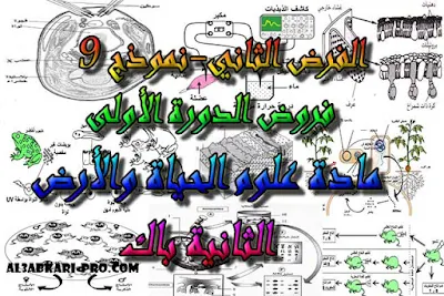 تحميل الفرض الثاني- نموذج 9 - مادة علوم الحياة والأرض الدورة الأولى للسنة الثانية باك علوم الحياة والأرض , درس , ملخص , تمارين , امتحانات وطنية علوم الحياة والارض , علوم الحياة والارض , فروض علوم الحياة والارض , الثانية باك , بكالوريا , دروس اونلاين