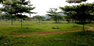 lokasi camping di pantai prigi trenggalek