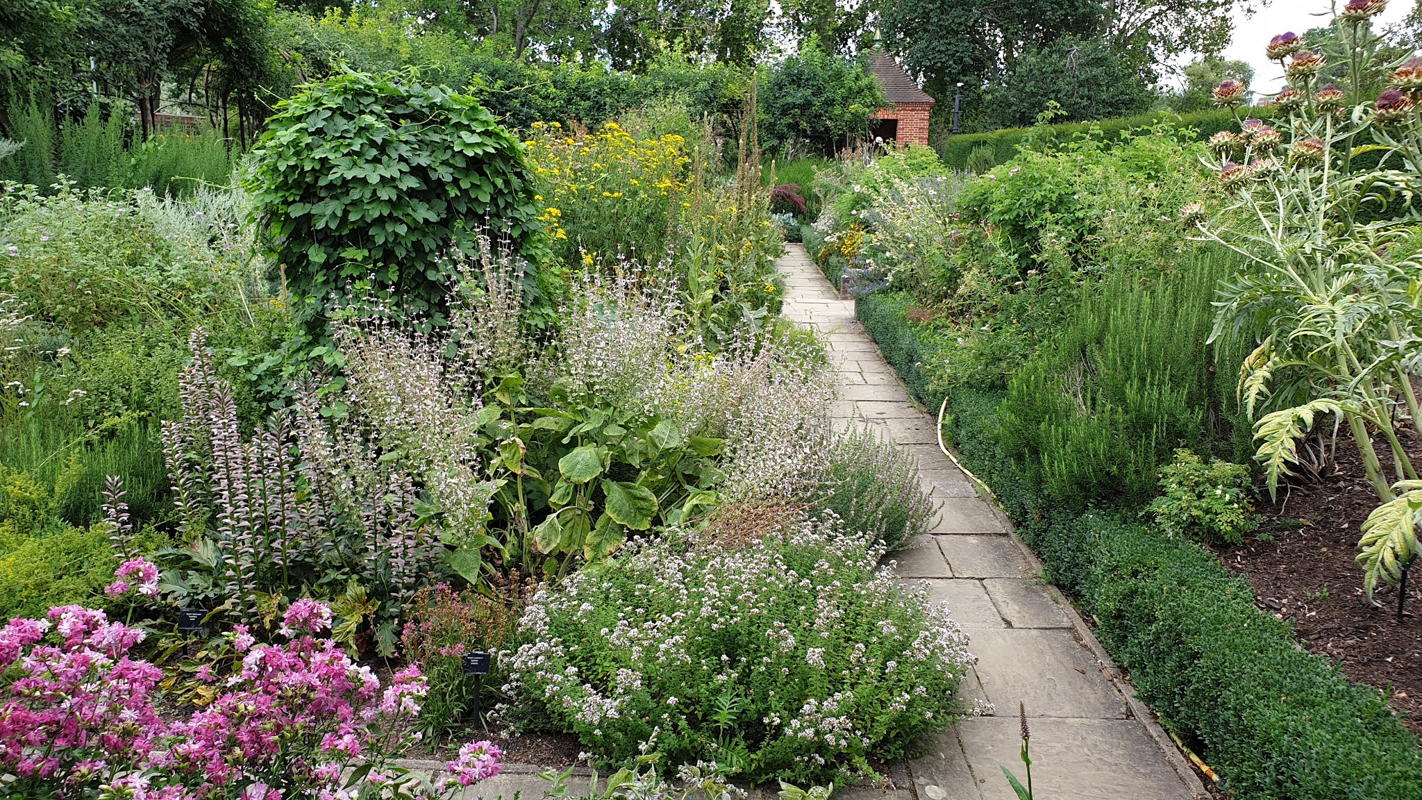 kew palace garden