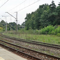 ET22-785 ostrym łukiem mknie przez Słowik