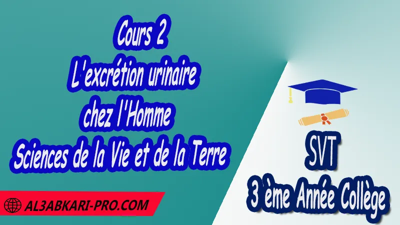 Cours 2 de l'excrétion urinaire chez l'Homme SVT 3ème Année Collège 3AC pdf , Sciences de la Vie et de la Terre (SVT) de 3 ème Année Collège 3AC , SVT 3APIC option française , Cours de l'excrétion urinaire chez l'Homme , Résumé de l'excrétion urinaire chez l'Homme , Exercices corrigés de l'excrétion urinaire chez l'Homme , Activités de l'excrétion urinaire chez l'Homme , Fiches pédagogiques de l'excrétion urinaire chez l'Homme , Devoirs corrigés de Sciences de la Vie et de la Terre (SVT) , Contrôle corrigé de de Sciences de la Vie et de la Terre (SVT) , Examens régionaux corrigés de Sciences de la Vie et de la Terre (SVT) , Travaux dirigés td de Sciences de la Vie et de la Terre (SVT) الثالثة اعدادي خيار فرنسي , مادة علوم الحياة والارض خيار فرنسية , الثالثة اعدادي , مسار دولي