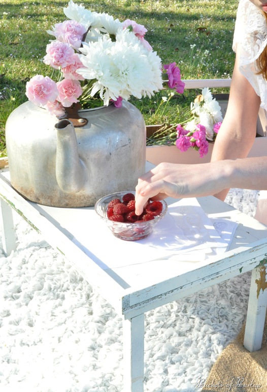spring berries 2