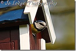 IMG_0054