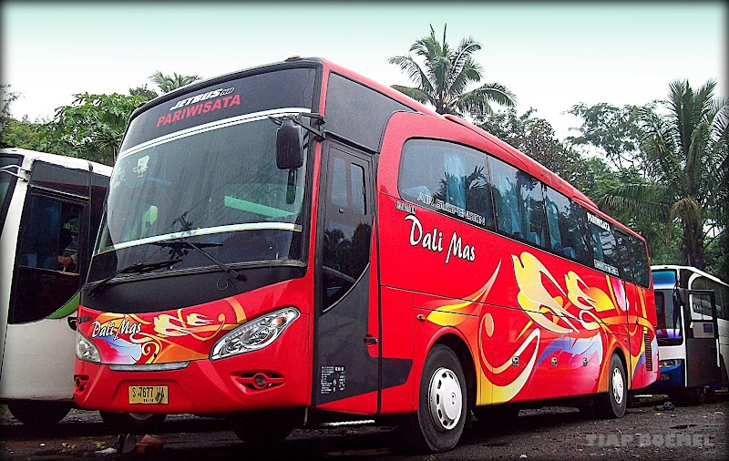 17+ Inspirasi Baru Jakarta Bus