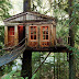 Top 20 Beautiful And Amazing Tree House Wallpapers,Pics