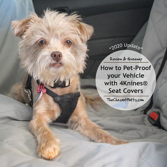 Updated Review & Giveaway: How to Pet-Proof your Vehicle with 4Knines® Seat Covers