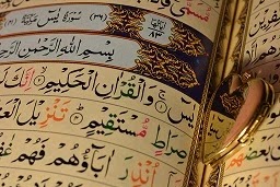 Surah Yasin Sharif Audio Download | Multiple Qari