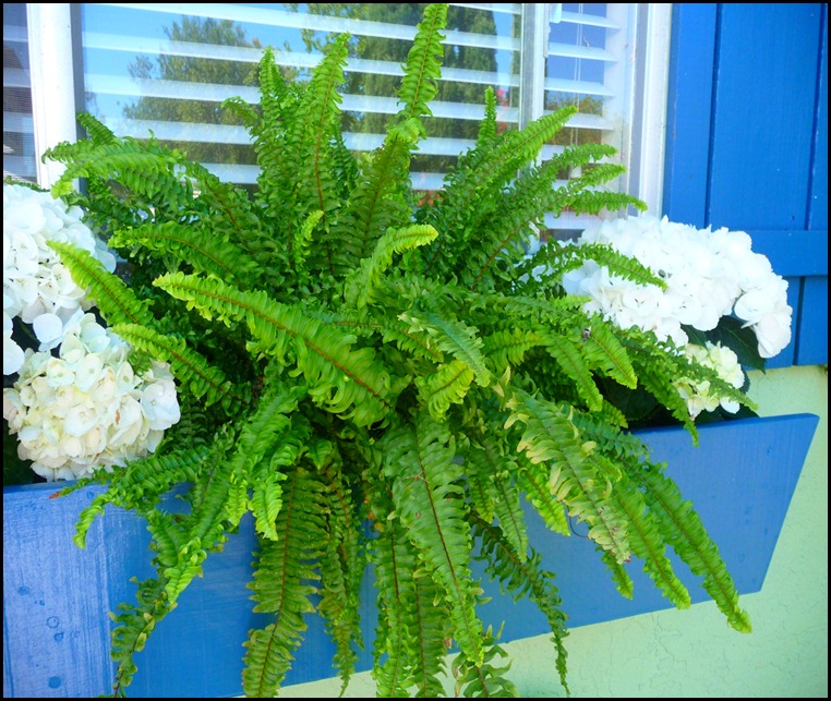 front porch for fall 006