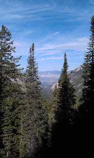 Red Pine Trail Alta Utah