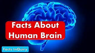 You must read this; 12 Amazing Facts about the Human Brain