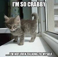 Picture is a grumpy looking kitten. Caption: I'm so crabby, I'm not even talking to myself!