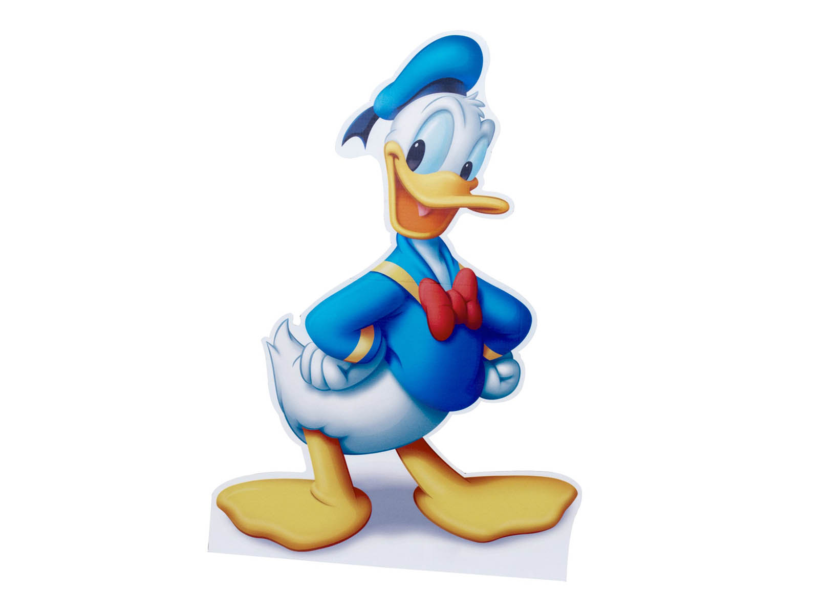 Duck Donald 3