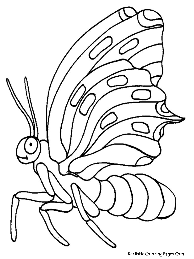 Download Realistic Butterfly Coloring Pages | Realistic Coloring Pages