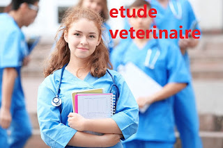 étude pour devenir vétérinaire après la 3ème