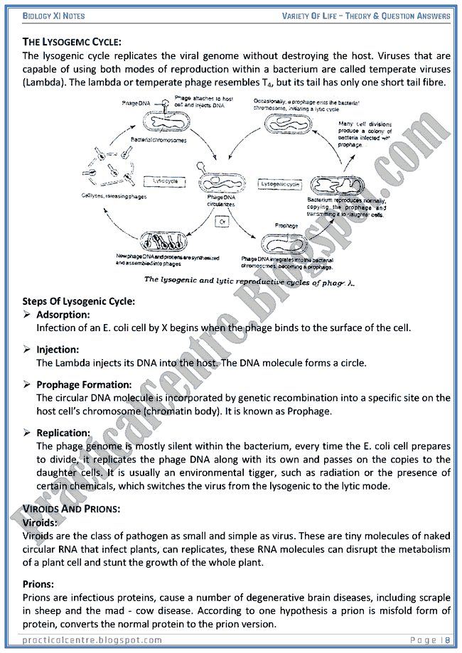 Practical Centre: Variety Of Life - Theory And Questions Answers - Biology XI