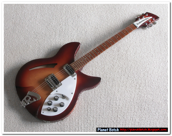 Rickenbacker 330 semi-acoustic guitar