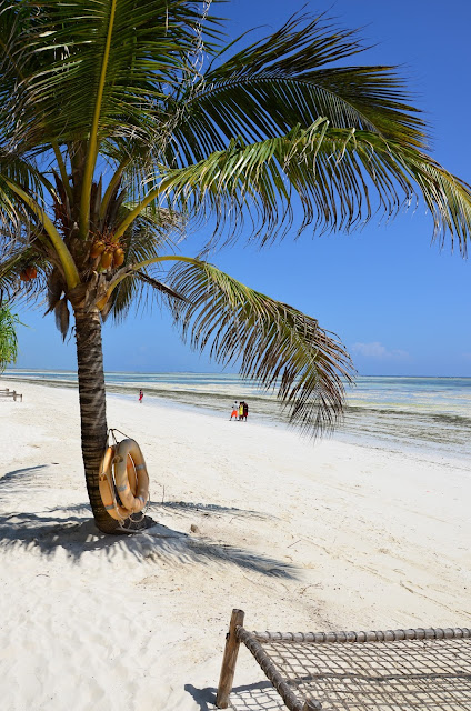 Dream of Zanzibar - Plaża - Odpływ / Beach - Low Tide