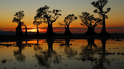 4 Objek Wisata Keren Di Pulau Sumba NTT, Yang Wajib Kamu Kunjungi