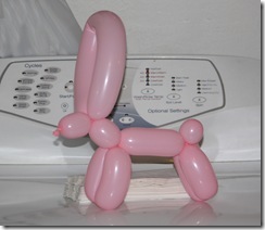 Balloon Animal #1