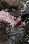 Save Water