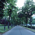 Trees, Bench, and Path (2)