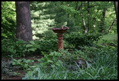 IMG_8168_edited-1