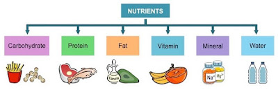 Nutrient