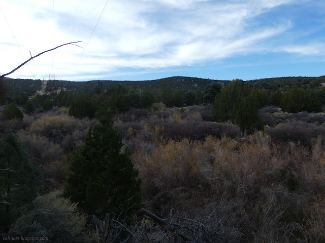 50: power lines and sage