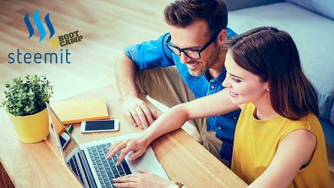 Steemit Bootcamp: Learn to Blog and Profit from Scratch 2018