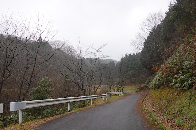 鳥取県西伯郡南部町上中谷 緑水湖 岸辺の遊歩道
