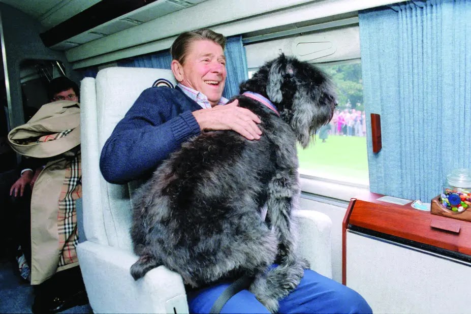 Dog Lucky with Reagan
