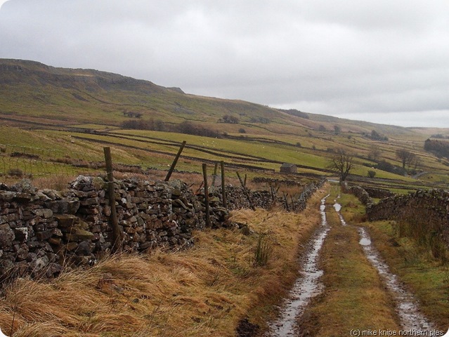 the lane...