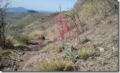 20160405_083110
