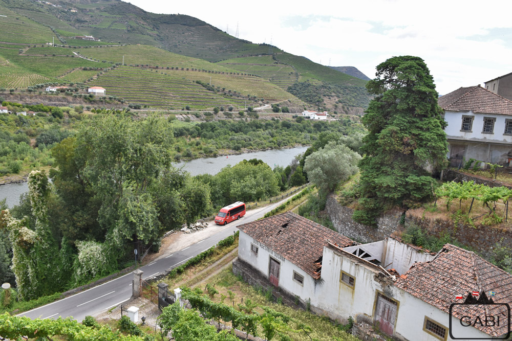 Portugalia, Alto Douro, winnice