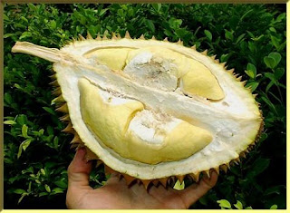 Petua Hilangkan bau Durian