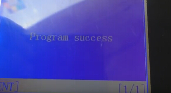 Program success