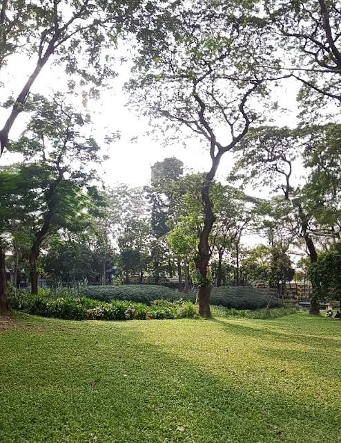 Emma - Keanekaragaman Hayati di Hutan merupakan Kekayaan Alam yang Perlu Dilestarikan