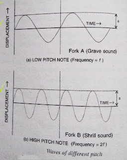 Sound class 8 Chapter 13 science CBSE NCERT , sound, sound class 8, science, solution of sound,