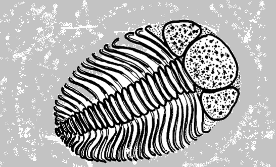Free Fossil Coloring Pages