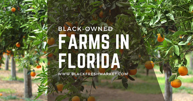 Black Owned Farms In Florida