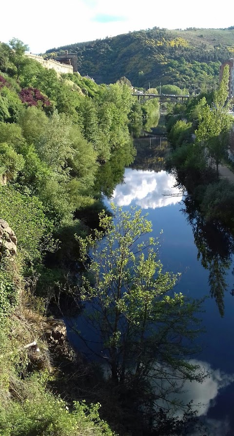 REFLEJOS EN EL RIO  SIL