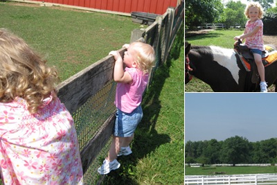 View Farm Fun