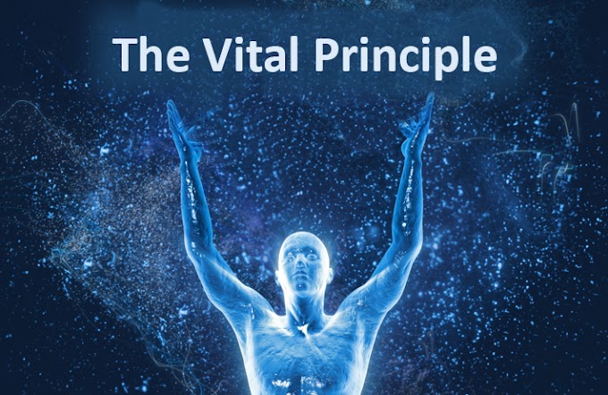The Vital Principle or Prana