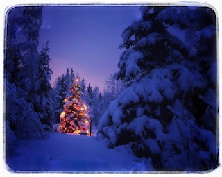 Christmas Tree Images 2019